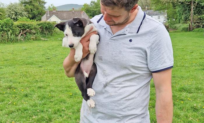 Spend time with sheep dog handler Ross Games on a Good Day Out herding experience in wales